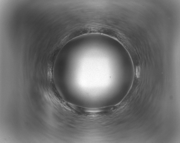 X0000071351155200606301645