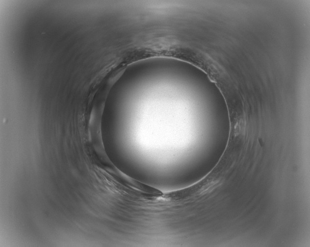 X0000071351156200606301645