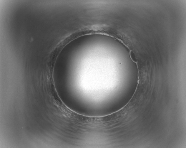 X0000071351158200606301645