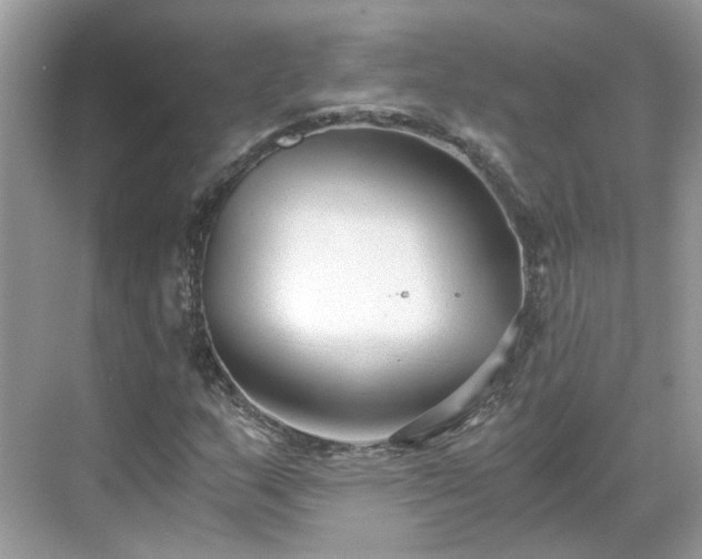 X0000071351159200606301645