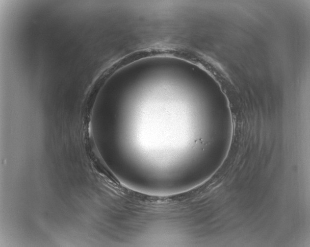 X0000071351160200606301645