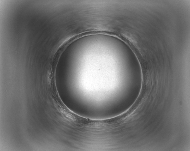 X0000071351163200606301645