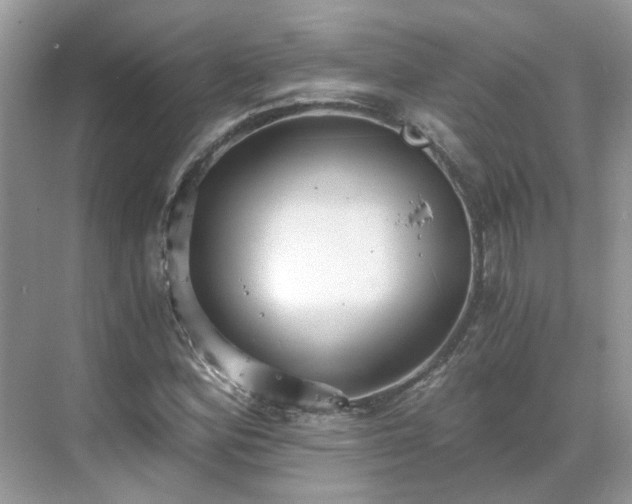 X0000071351164200606301645