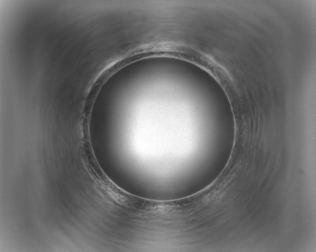 X0000071351166200606301645