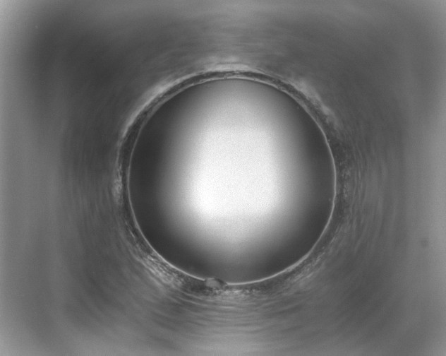 X0000071351167200606301645