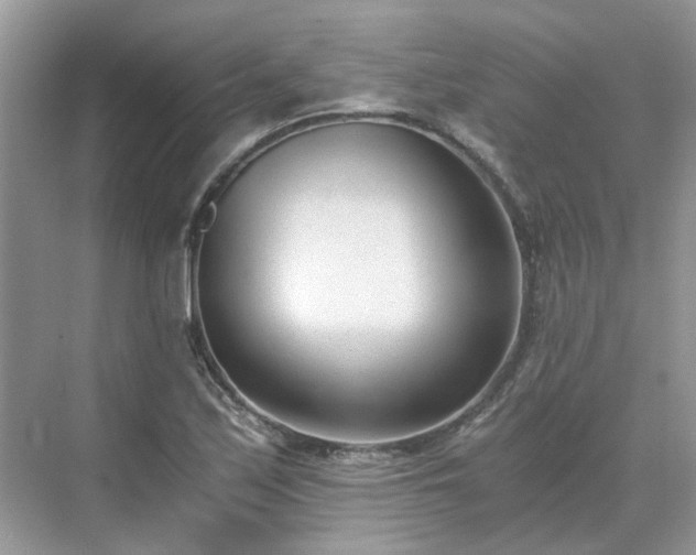 X0000071351171200606301645