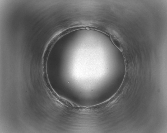 X0000071351172200606301644