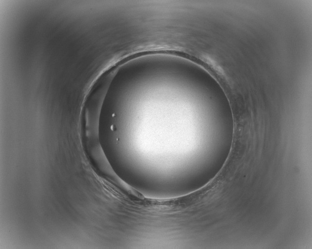 X0000071351173200606301644