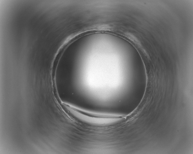 X0000071351176200606301644