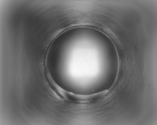 X0000071351177200606301644