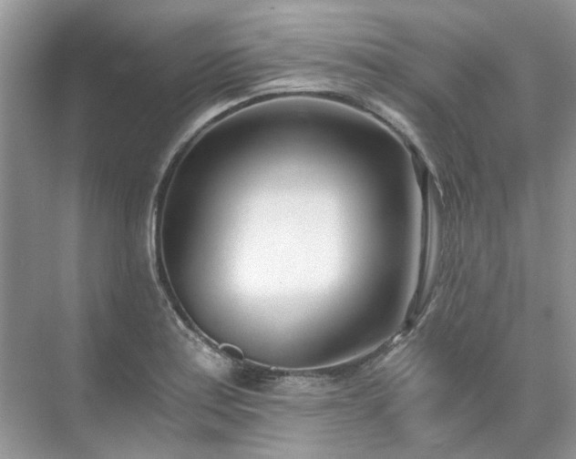 X0000071351179200606301644