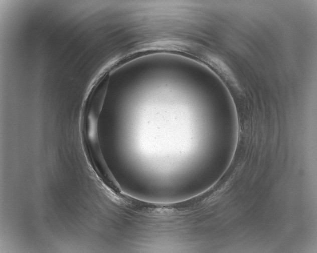 X0000071351180200606301644