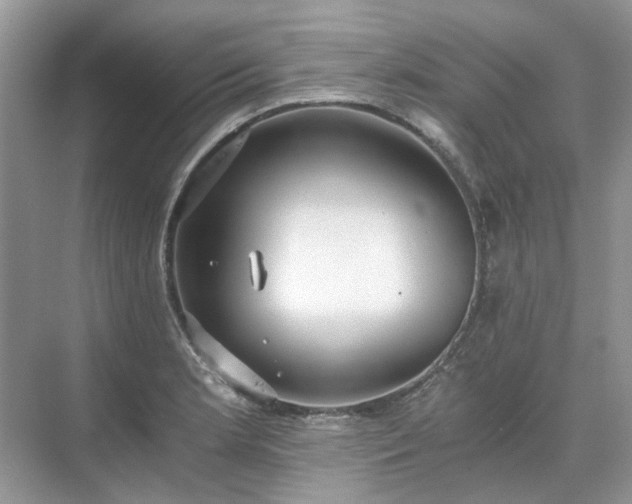 X0000071351181200606301644