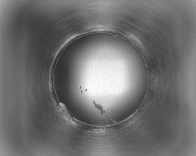 X0000071351182200606301644