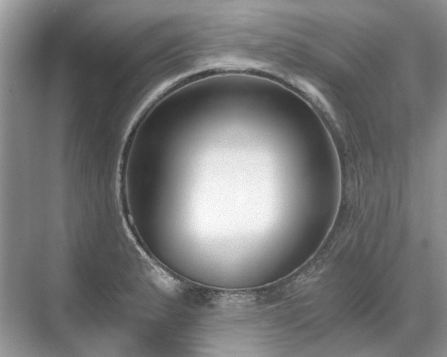 X0000071351183200606301644