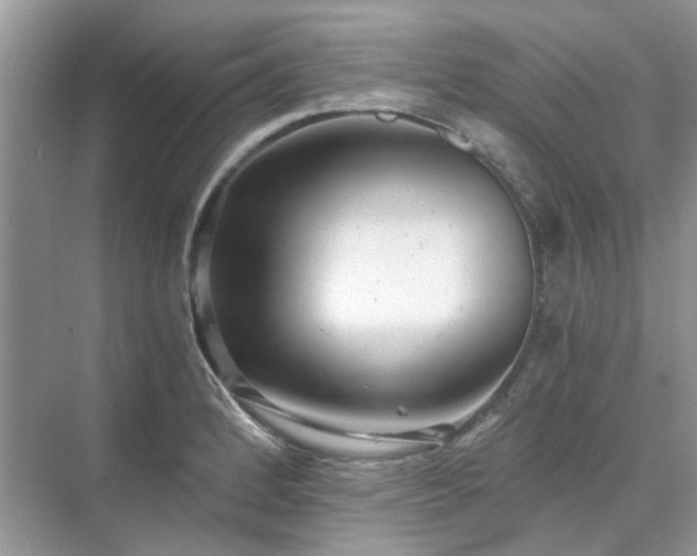 X0000071351184200606301644