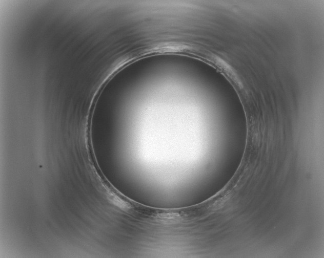 X0000071351186200606301644