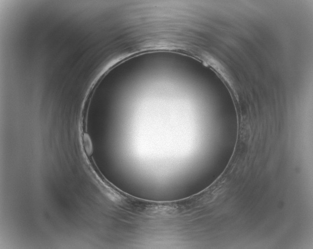 X0000071351187200606301644