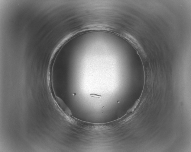 X0000071351188200606301644