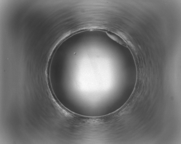 X0000071351189200606301644