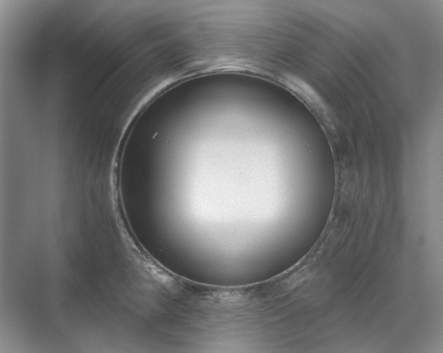 X0000071351190200606301644