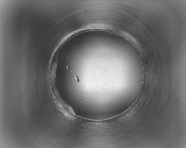 X0000071351192200606301644