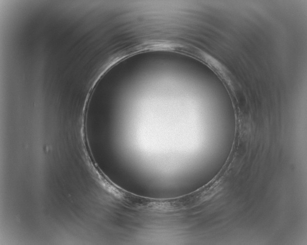 X0000071351194200606301644