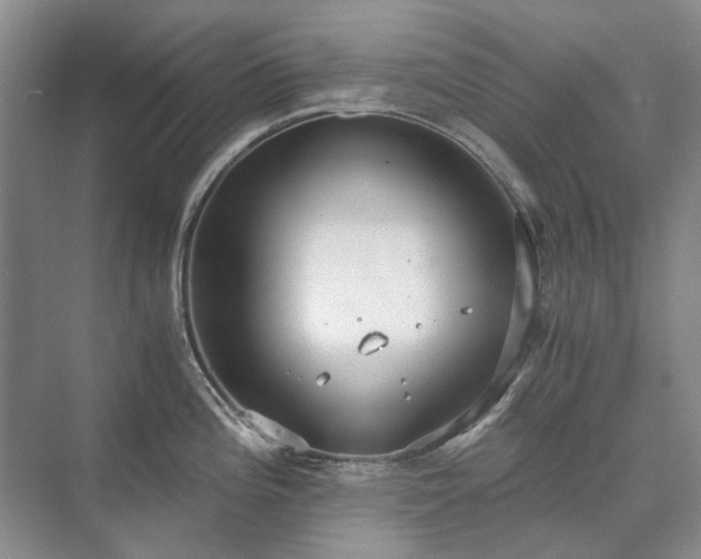 X0000071351196200606301644