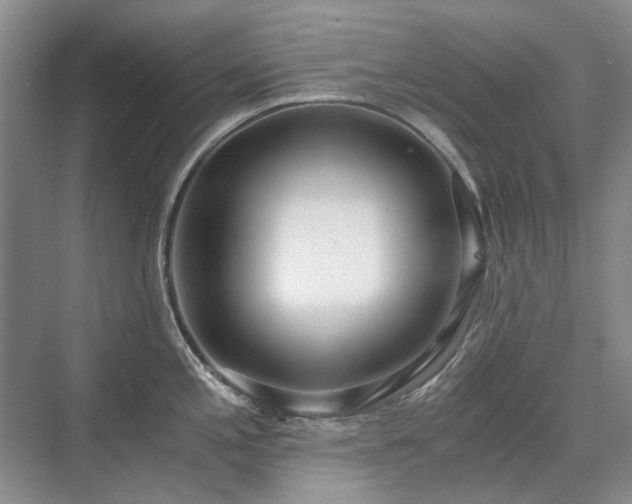 X0000071351197200606301644