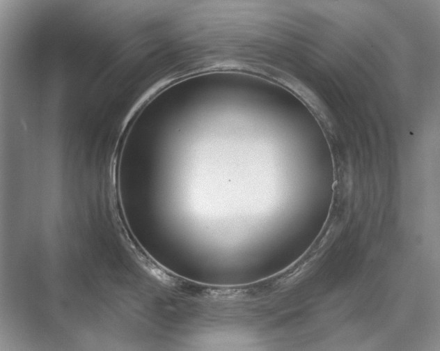 X0000071351198200606301644