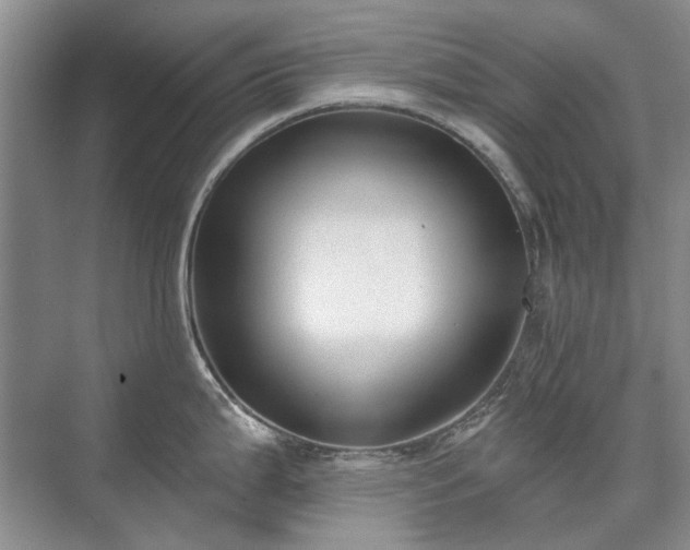 X0000071351199200606301644