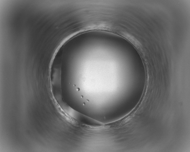 X0000071351200200606301644