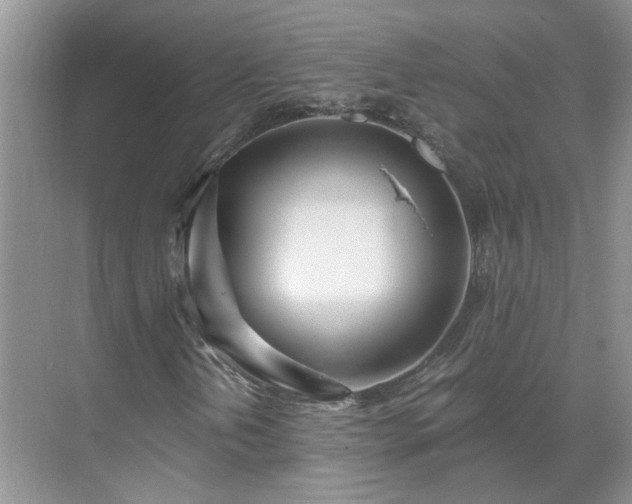 X0000071351202200606301643