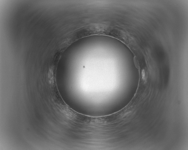 X0000071351203200606301643