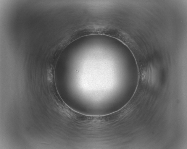 X0000071351204200606301643