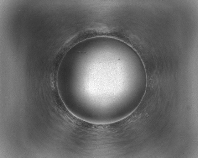 X0000071351205200606301643