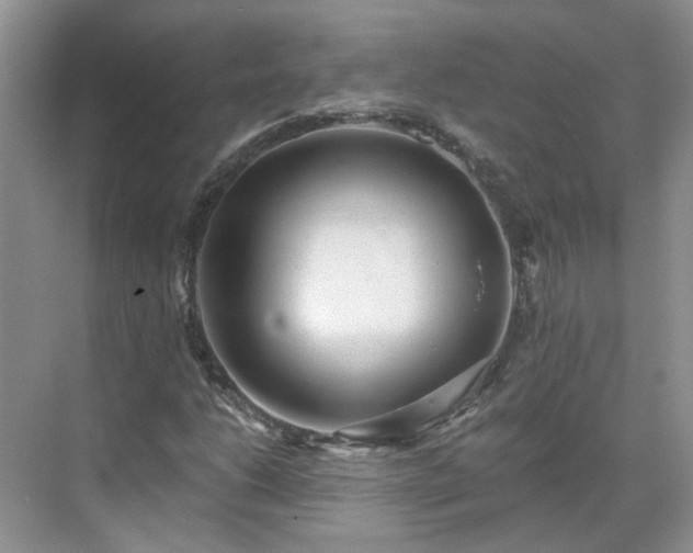 X0000071351206200606301643