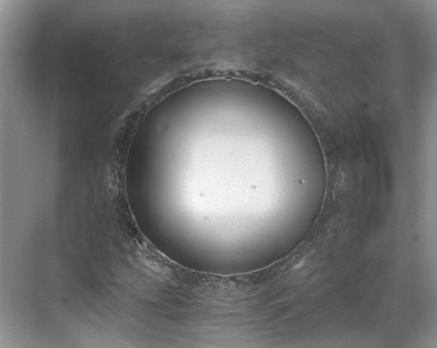 X0000071351207200606301643