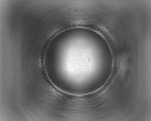 X0000071351209200606301643