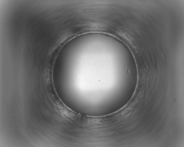 X0000071351211200606301643