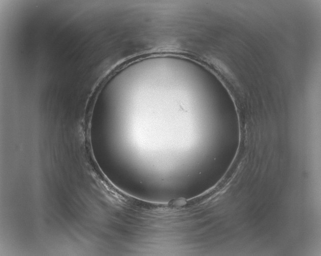 X0000071351212200606301643