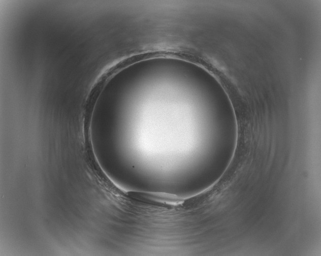 X0000071351214200606301643