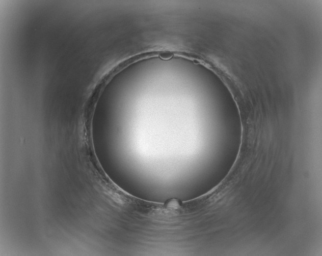 X0000071351215200606301643