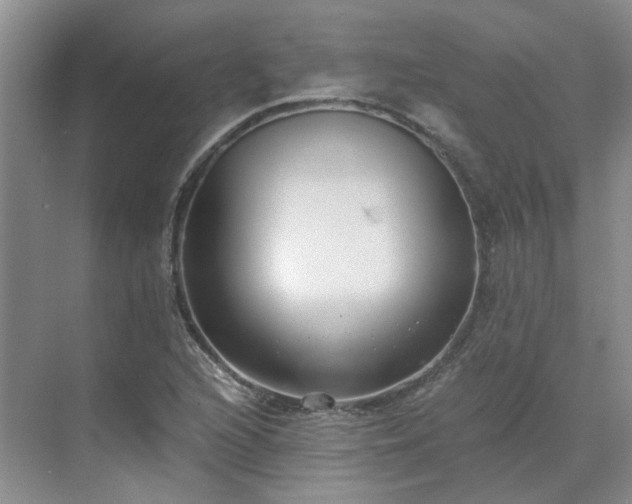 X0000071351216200606301643