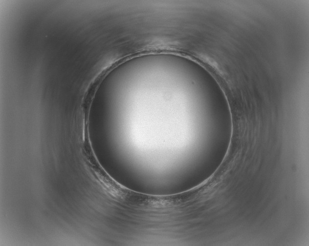 X0000071351219200606301644