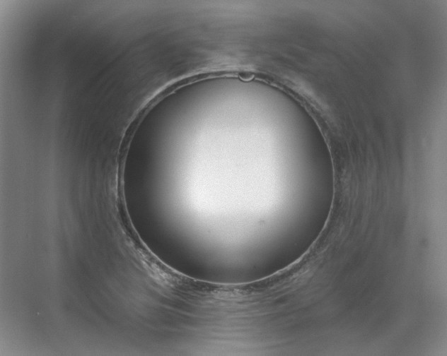 X0000071351220200606301644