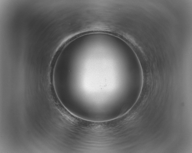 X0000071351222200606301644