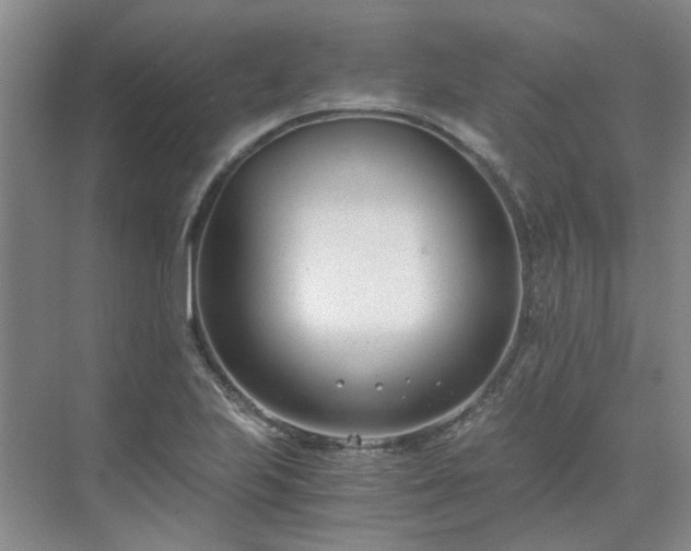 X0000071351223200606301644