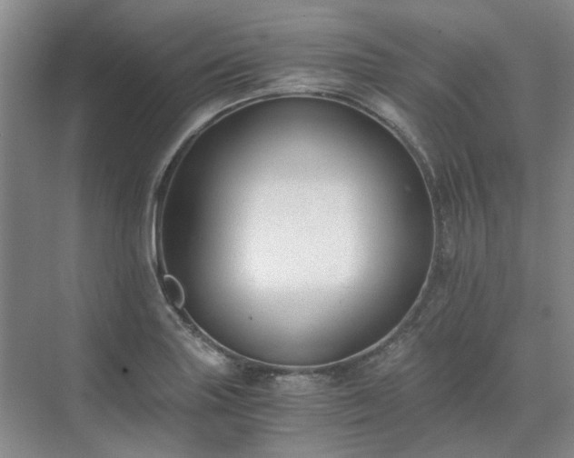 X0000071351227200606301644