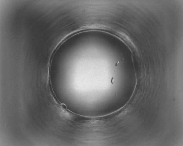 X0000071351228200606301644